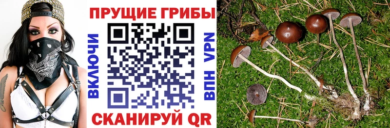MEGA ССЫЛКА  Талица  Галлюциногенные грибы ЛСД 