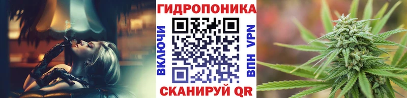 цена   Талица  Каннабис план 